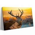 Personalized Custom Canvas Prints