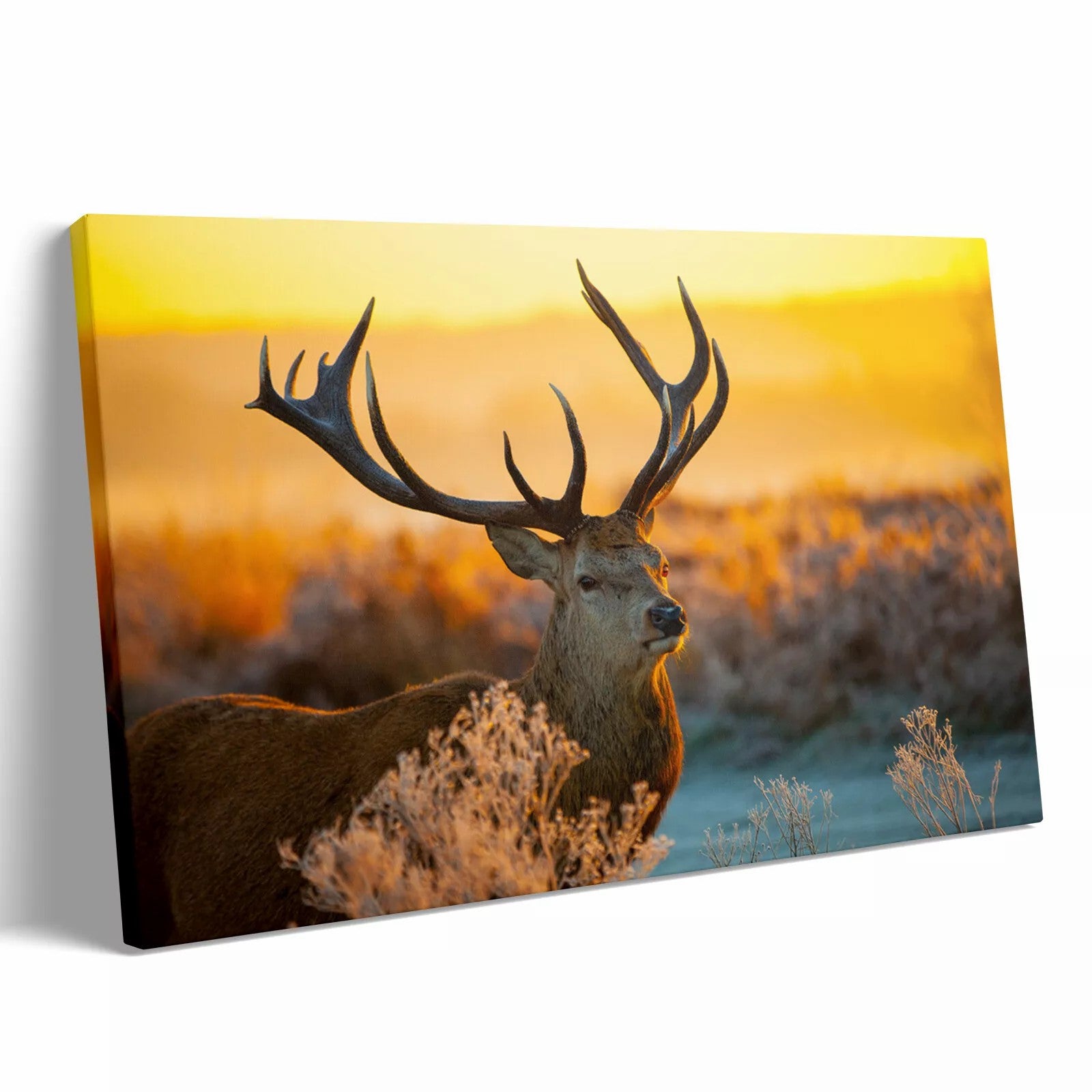 Personalized Custom Canvas Prints